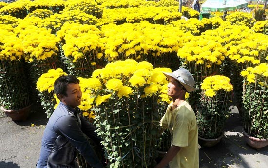 Flower market at Gia Dinh Park, HCMC (Photo: SGGP)